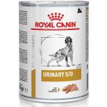 Royal Canin Hundefutter nass 