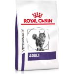 Royal Canin Adult Trockenfutter für Katzen 