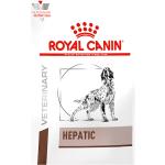 (EUR 8,33 / kg) Royal Canin Veterinary Diet Canine Hepatic HF 16 - Hund: 12 kg