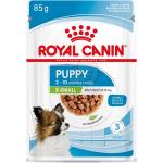 Royal Canin X-Small Hundefutter aus Metall 