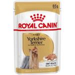 Royal Canin Yorkshire Terrier Hundefutter nass 