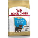 ROYAL CANIN Yorkshire Terrier Junior 500g +Überraschung für den Hund
