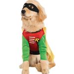 Rubie's Offizielles Rubie s DC Comic Robin Teenager Titans Haustier Hund Kostüm Super Hero Geschenk Größe S, Mehrfarbig, UK