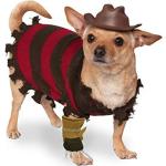 Rubies Pet Freddy Krueger Costume