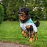 Reduzierte Graue Ruffwear Swamp Cooler Hundekleidung 