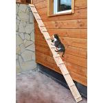 Katzentreppen &  Katzenleitern aus Holz 