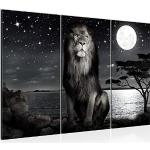 Schwarze Mehrteilige Leinwandbilder mit Löwen-Motiv 80x120 3-teilig 