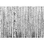 Schwarze Gestreifte Moderne Wald-Fototapeten UV-beständig 