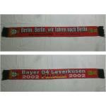 S539 Schal Bayer 04 Leverkusen Dfb Bundesliga Ultras Fußball Pokalfinale 2002