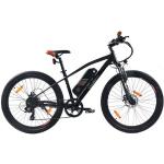 SachsenRAD E-Bike »E-Racing Bike R6 400Wh«, 7 Gang Shimano Tourney TX, Kettenschaltung, 250 W, LED-Beleuchtung, mechanische Scheibenbremse