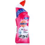 Sagrotan Surface Care (Germ Protection) WC-Reiniger Flüssig 3261028 750 ml
