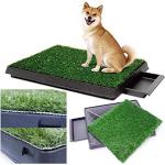Reduzierte Grüne Hundetoiletten mit Schublade 