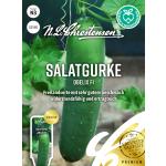Salatgurke Obelix F1 | Salatgurkensamen von N.L. Chrestensen