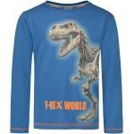 Blaue Motiv Langärmelige Salt and Pepper Meme / Theme Dinosaurier Printed Shirts für Kinder & Druck-Shirts für Kinder mit Dinosauriermotiv für Jungen Größe 98 