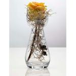 17 cm Sandra Rich Hyacinth Bodenvasen & Vasen für Pampasgras 17 cm aus Glas 6-teilig 