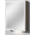 Silberne Moderne Sanipa Spiegelschränke aus Melamin LED beleuchtet Höhe 50-100cm 