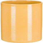 Gelbe Moderne 16 cm Runde Pflanzkübel & Blumentöpfe 15 cm aus Keramik 