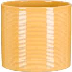 Gelbe Moderne 19 cm Runde Pflanzkübel & Blumentöpfe 17 cm aus Keramik 