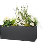 Schwarze 60 cm Scheurich Quadratische Pflanzkübel & Blumentöpfe 60 cm aus Kunststoff frostfest 