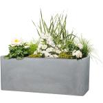 Graue 60 cm Scheurich Quadratische Pflanzkübel & Blumentöpfe 60 cm aus Kunststoff frostfest 