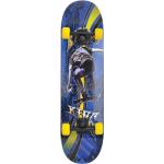 Schildkröt Slider 31 Cool King Skateboard blau