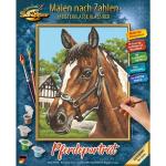 Schipper Pferde & Pferdestall Ausmalbilder Tiere mit Pferdemotiv für Älter als 12 Jahre 
