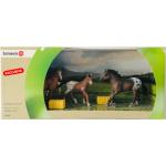 Schleich 41358 Scenery Pack Exclusive Farm Life Appaloosa Familie Pferde
