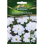 Quedlinburger Blumensamen & Pflanzensamen 