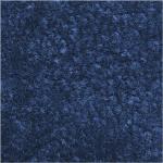 Blaue Schmutzfangmatten & Fußabtreter matt aus Kunststoff schmutzabweisend 