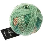 Schoppel Zauberball Edition 3 | Reine Merinowolle mit Farbverlauf grün braun zum Stricken und Häkeln | 100% Wolle | Merino extrafine für Nadelstärke 3 bis 3,5 mm (2595 Grünzeug)
