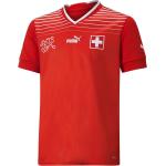 Schweiz SFV Home Jersey T-Shirt multicolor