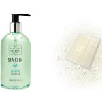 Scottish Fine Soaps Shampoo Sea Kelp 300ml und Gra