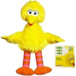 Sesame Street Playskool Big Bird Jumbo Plüsch