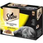 Sheba Katzenfutter nass mit Geflügel 
