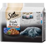 Sheba Fresh & Fine Katzenfutter mit Lachs 