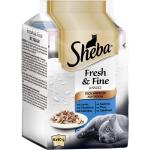 Sheba Fresh & Fine in Sauce mit Lachs und Thunfisch Portionsbeutel Multipack 6 x 50 g