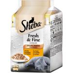 Sheba Fresh & Fine in Sauce mit Huhn und Truthahn Portionsbeutel Multipack 6 x 50 g