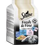 Sheba Fresh & Fine Katzenfutter nass mit Lachs 