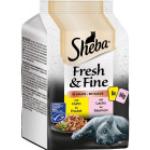 Sheba Fresh & Fine Katzenfutter nass 