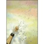 Champagnerfarbenes Sigel Designpapier DIN A4, 90g, 100 Blatt aus Papier 