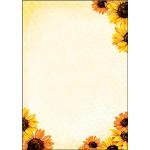 Gelbes Sigel Designpapier mit Blumenmotiv DIN A4, 90g, 50 Blatt aus Papier 