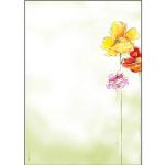 Sigel Motivpapier DP 123, Spring Flowers, A4, 90 g/qm, 50 Blatt