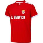 SL Benfica SLB Trikot Offizielle Kollektion, rot, M