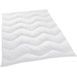 Weiße sleeptex 4-Jahreszeiten-Bettdecken & Ganzjahresdecken aus Baumwolle 155x220 