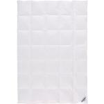 Weiße sleeptex 4-Jahreszeiten-Bettdecken & Ganzjahresdecken aus Textil 240x220 