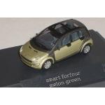 Hellgrüne Busch Model Smart ForFour Modellautos & Spielzeugautos 