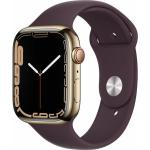 Goldene Apple Watch Smartwatches 