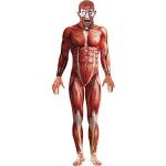 Rote Smiffys Anatomie-Kostüme für Herren Größe L 