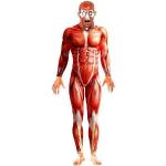 Rote Smiffys Anatomie-Kostüme für Herren Größe M 