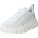 Weiße Apple Of Eden Low Sneaker mit Schnürsenkel aus Glattleder für Damen Größe 42 mit Absatzhöhe bis 3cm 